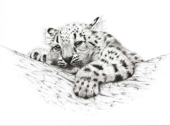 Snow Leopard Tattoo 136