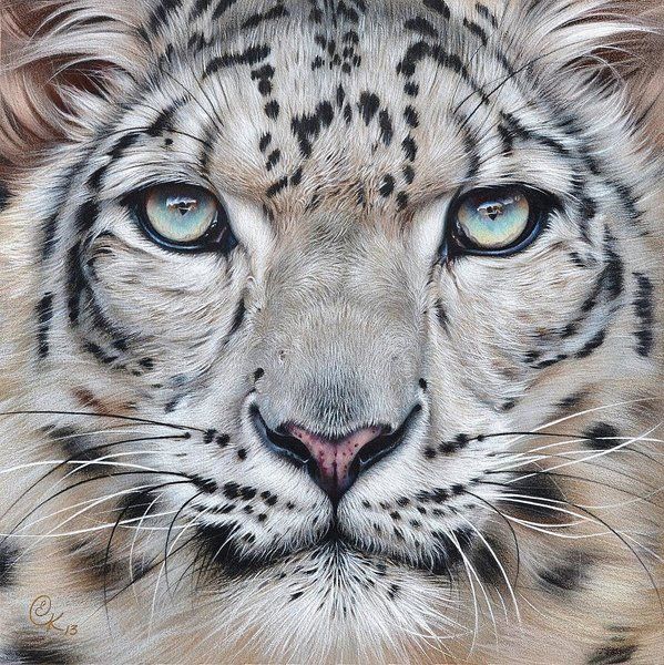Snow Leopard Tattoo 144