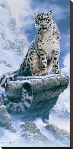 Snow Leopard Tattoo 147