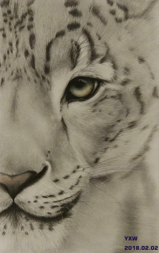 Snow Leopard Tattoo 149