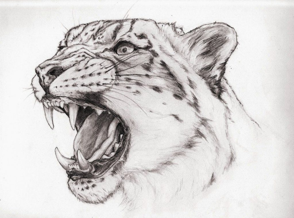 Snow Leopard Tattoo 15