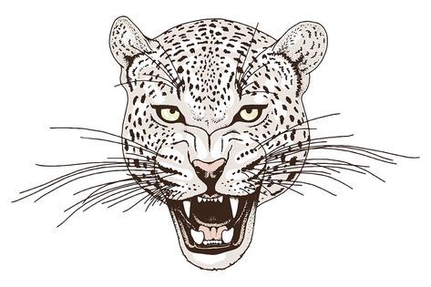 Snow Leopard Tattoo 151