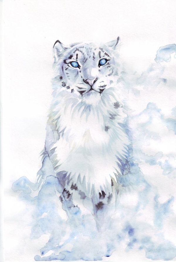 Snow Leopard Tattoo 156