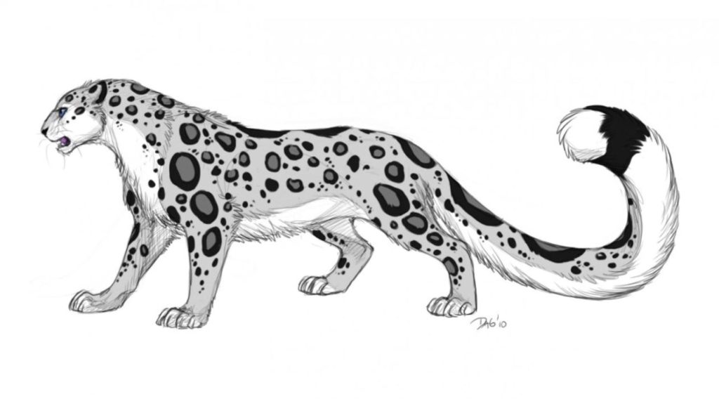 Snow Leopard Tattoo 159