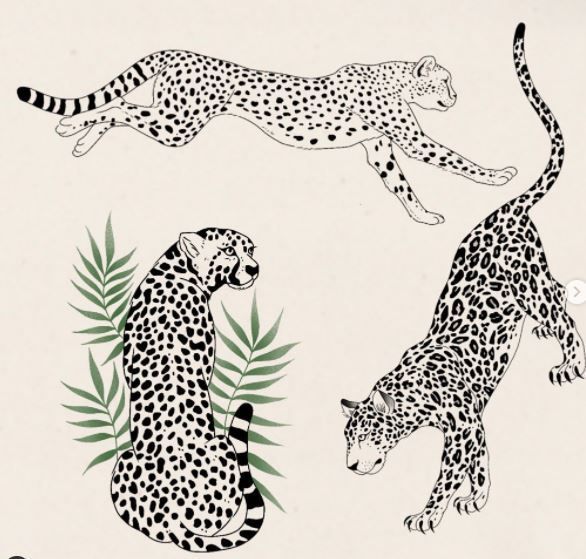 Snow Leopard Tattoo 161