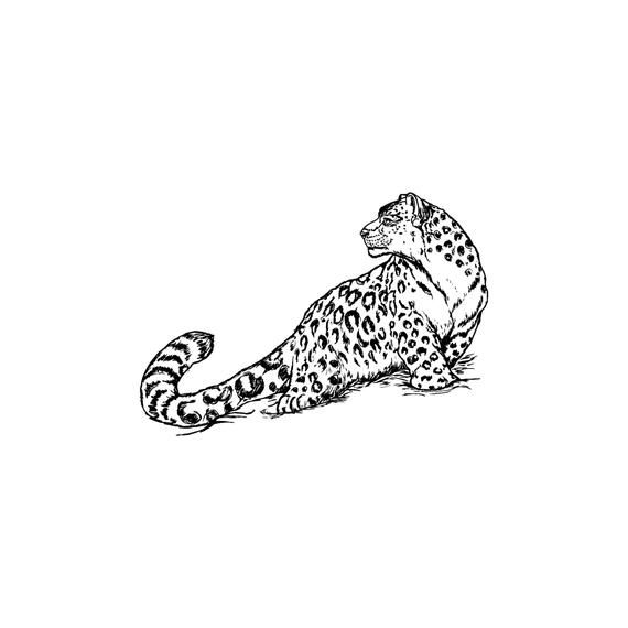 Snow Leopard Tattoo 170