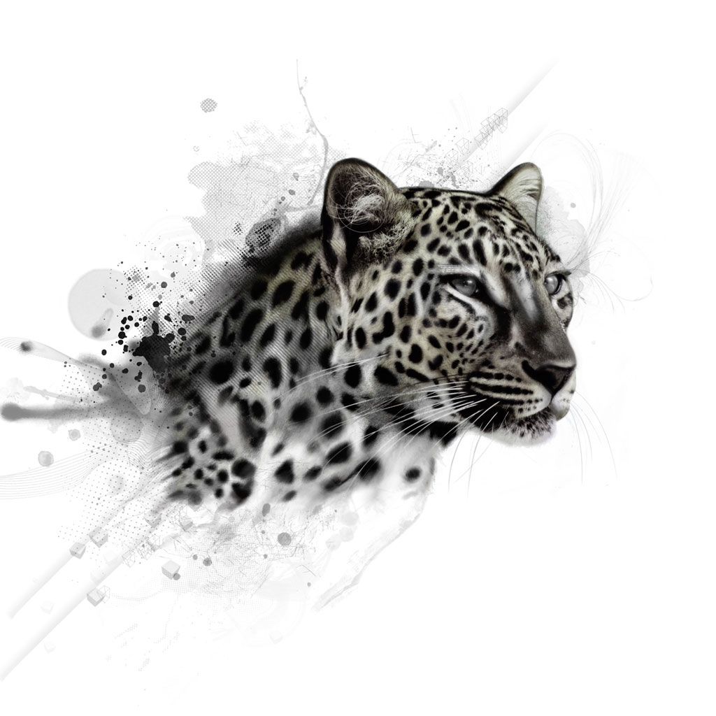 Snow Leopard Tattoo 176