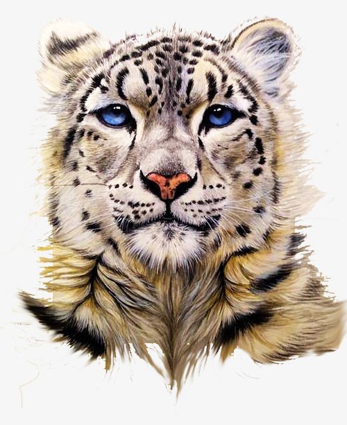 Snow Leopard Tattoo 178