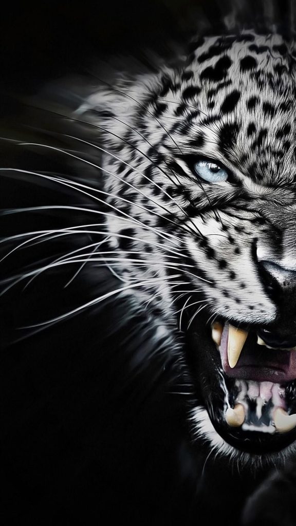 Snow Leopard Tattoo 18