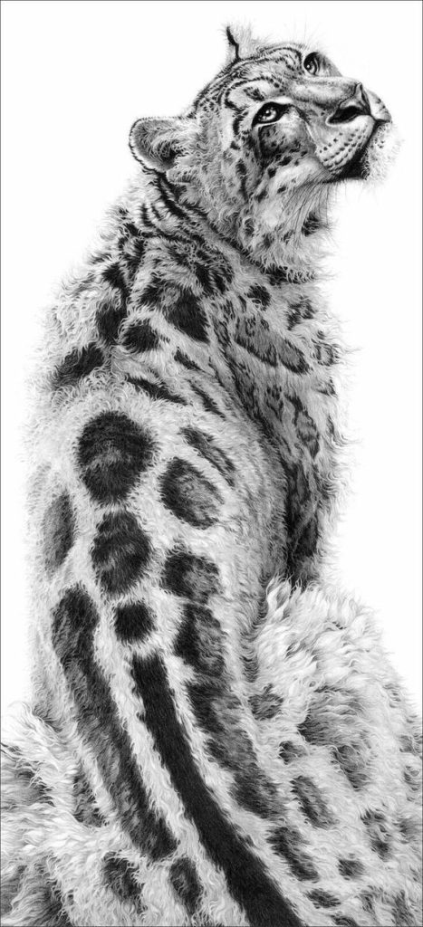Snow Leopard Tattoo 184