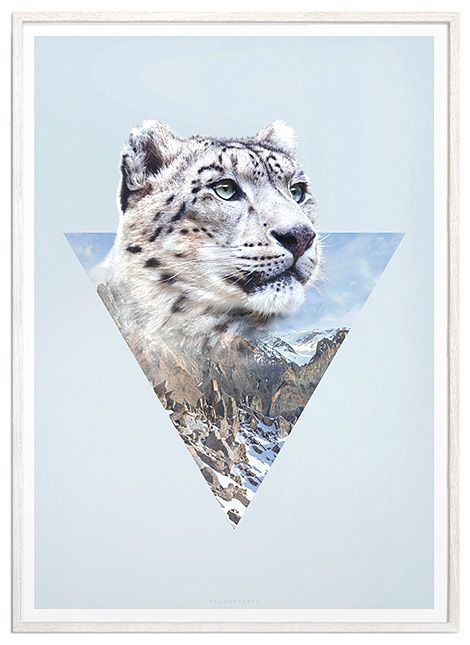 Snow Leopard Tattoo 186
