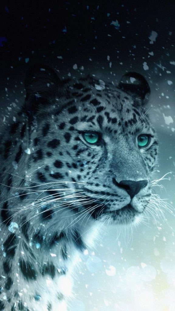 Snow Leopard Tattoo 19