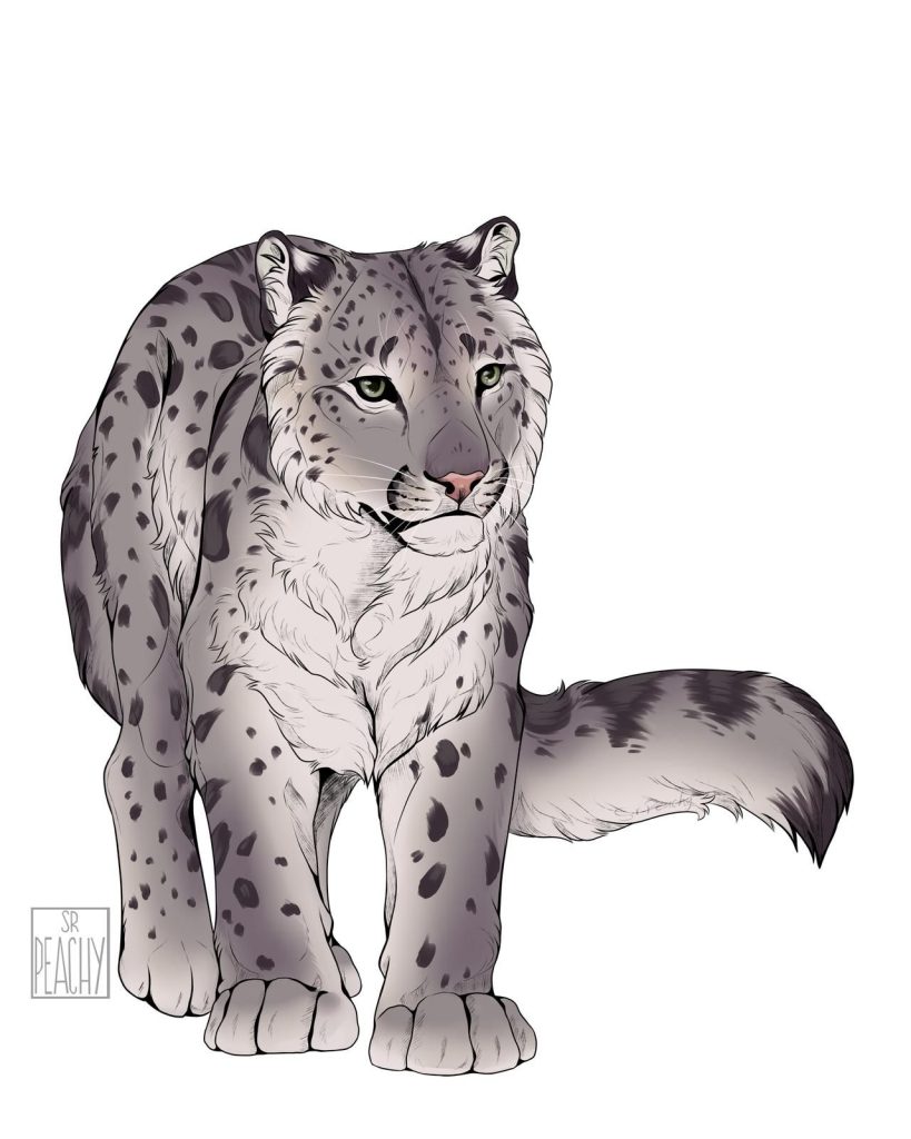 Snow Leopard Tattoo 194