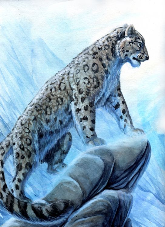 Snow Leopard Tattoo 20