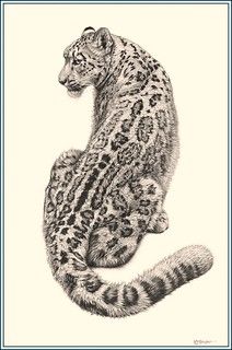 Snow Leopard Tattoo 56