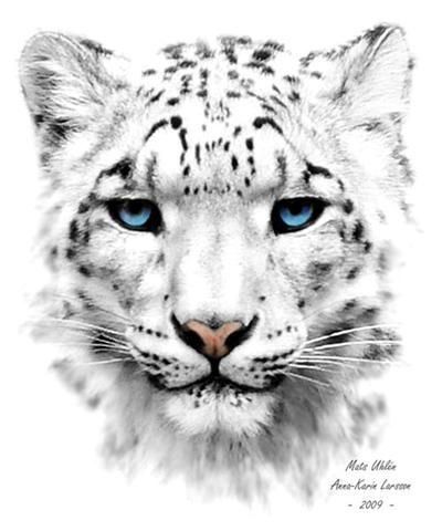 Snow Leopard Tattoo 57