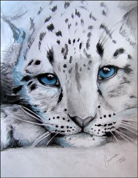Snow Leopard Tattoo 60