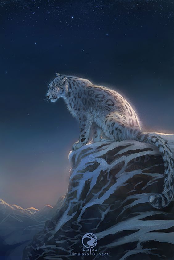 Snow Leopard Tattoo 64