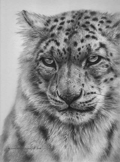 Snow Leopard Tattoo 78
