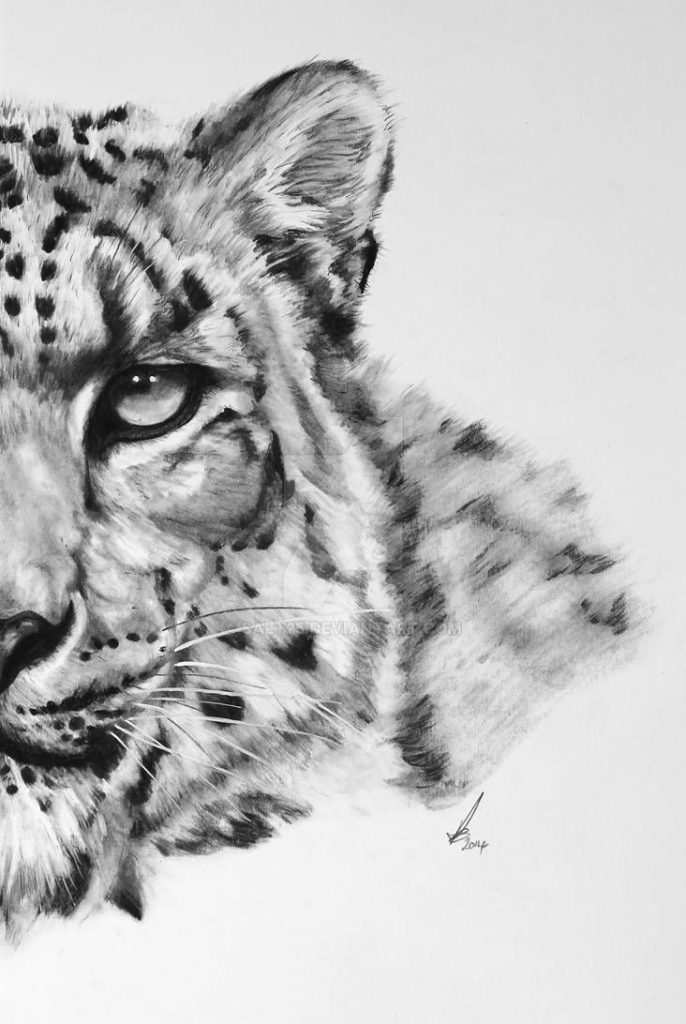 Snow Leopard Tattoo 89
