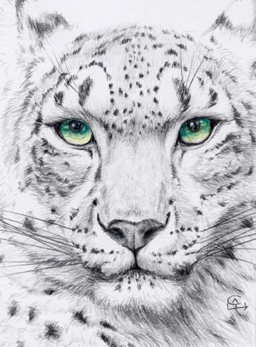 Snow Leopard Tattoo 9
