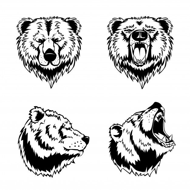 Bear Tattoos 58