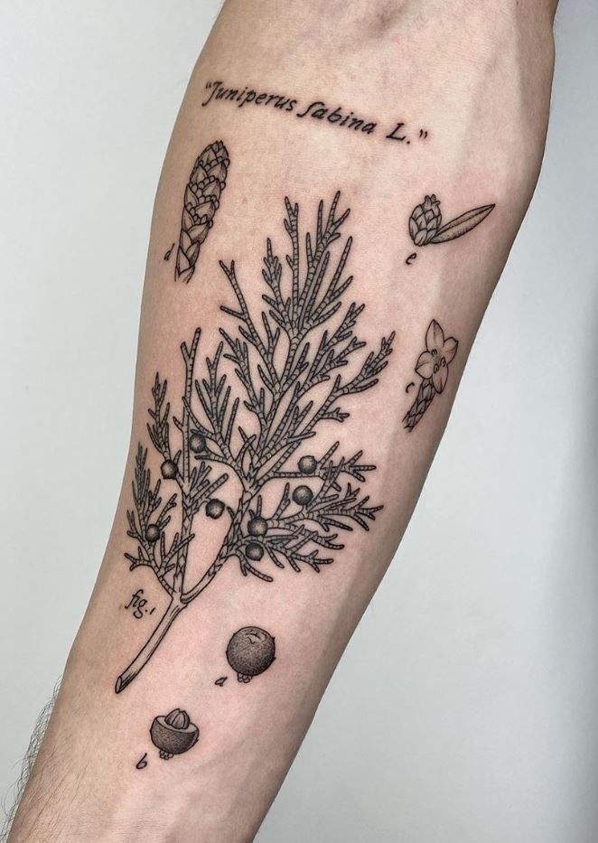 Botanical Tattoos 138