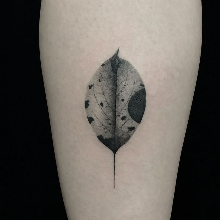 Botanical Tattoos 147