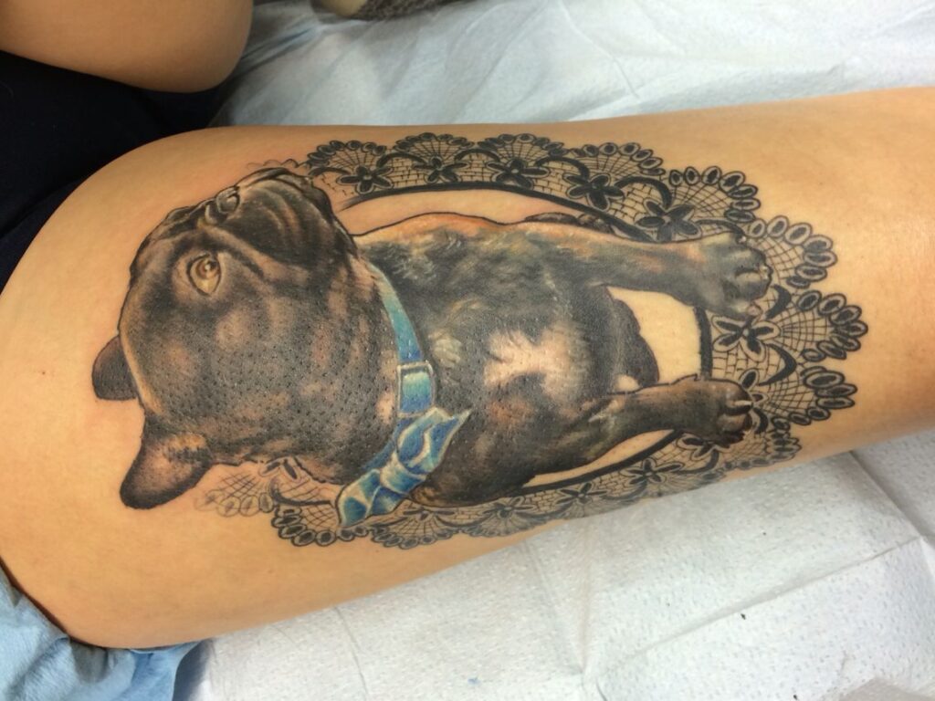Bulldog Tattoo 116