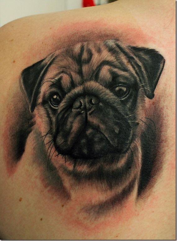 Bulldog Tattoo 12
