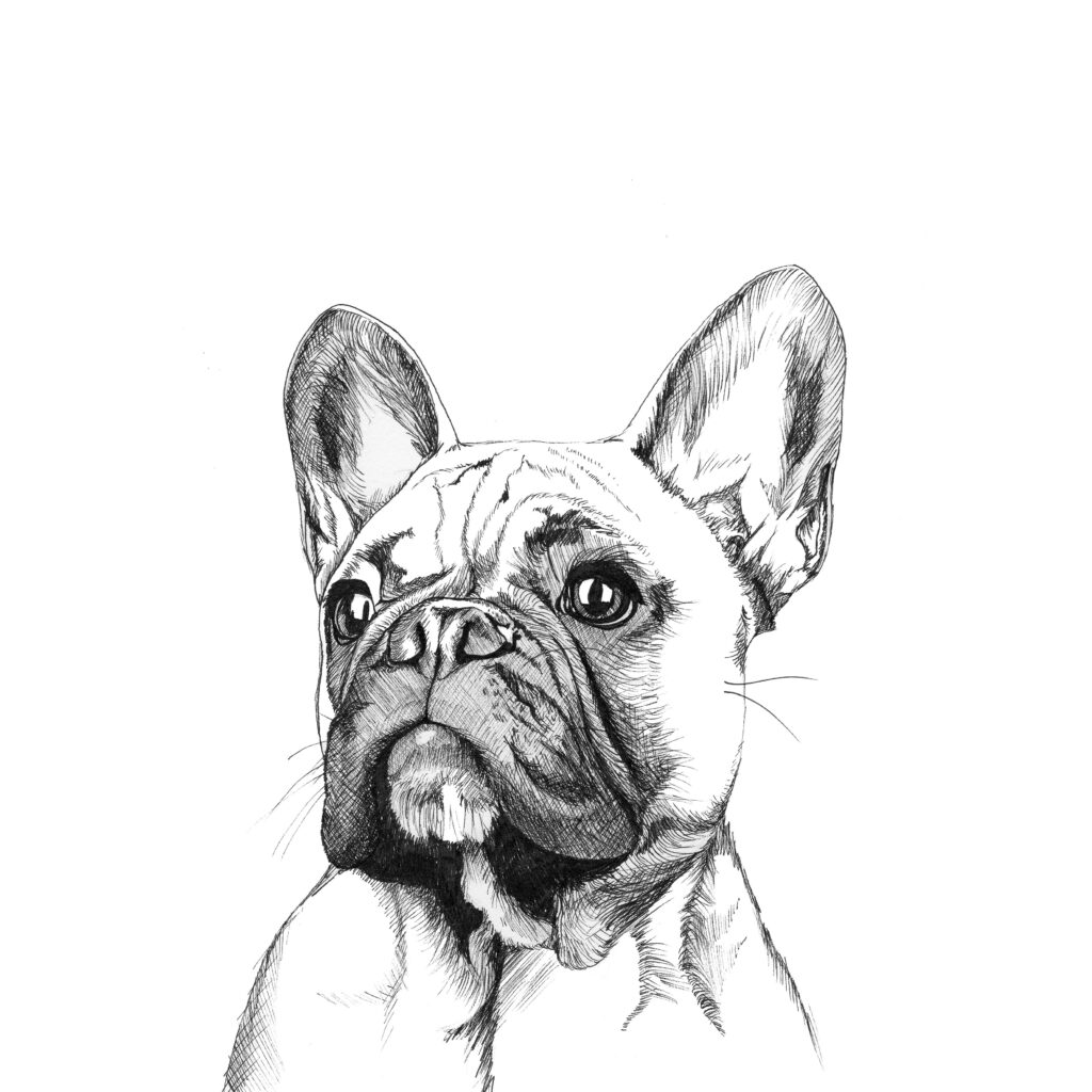 Tatouage Bouledogue 151