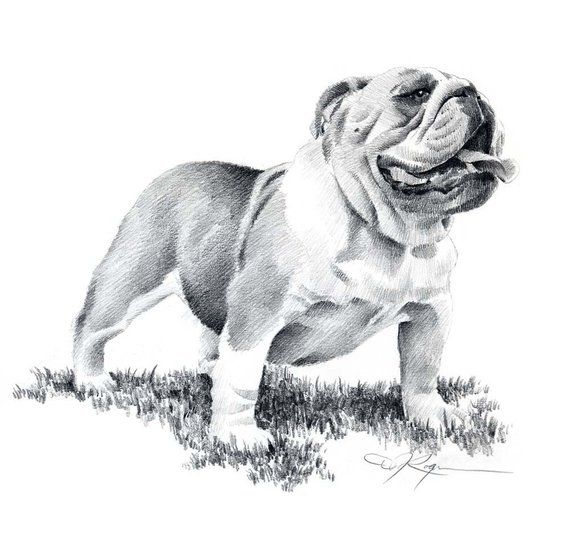 Tatouage Bouledogue 170