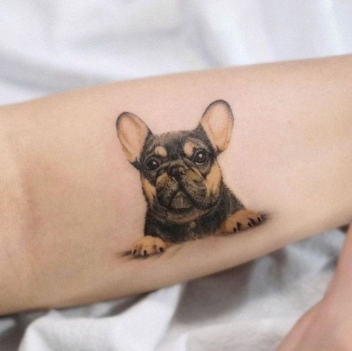 Bulldog Tattoo 180