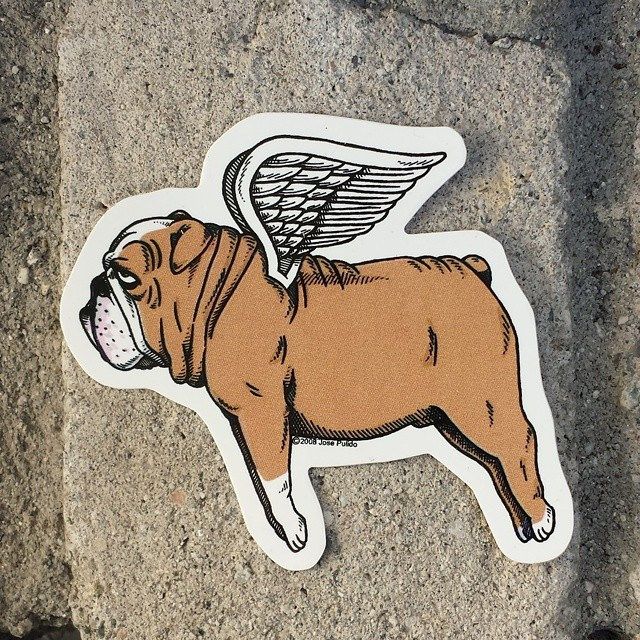 Tatouage Bouledogue 195