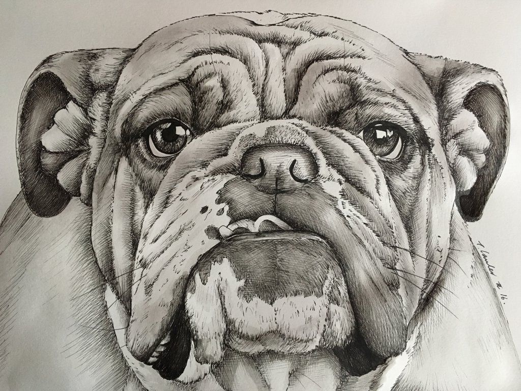Tatouage Bouledogue 30