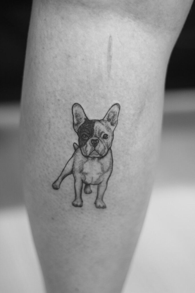 Bulldog Tattoo 66