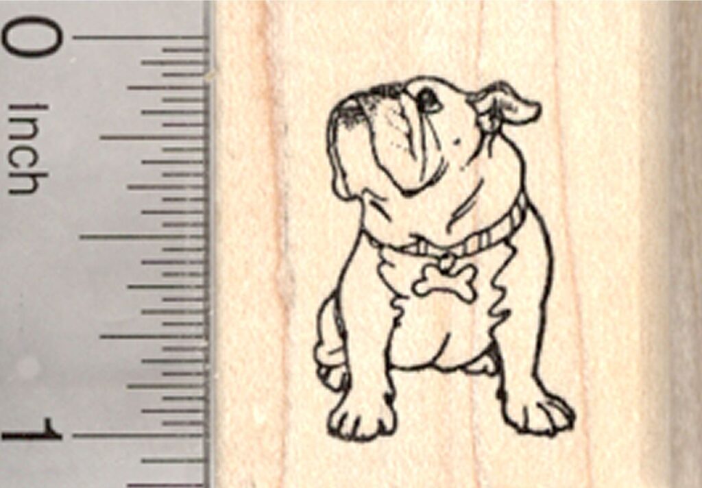Tatouage Bouledogue 78