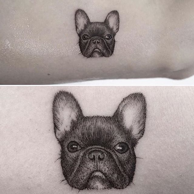Bulldog Tattoo 9