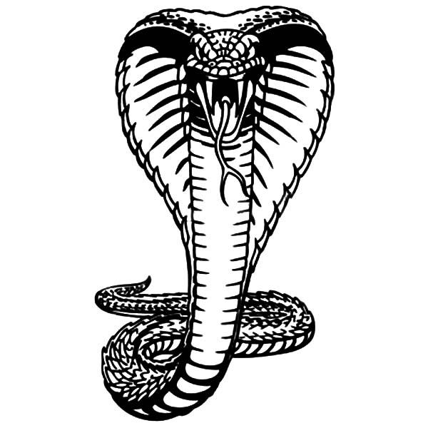 tatuajes de cobras 1