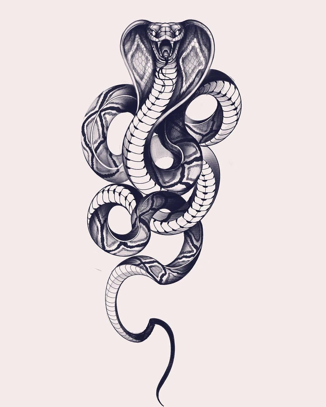 215+ King Cobra Tattoo Ideas (2023) - TattoosBoyGirl