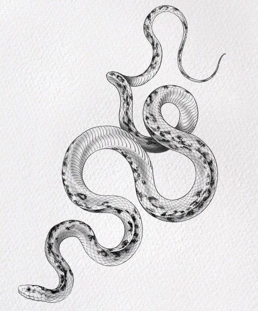 tatuajes de cobras 133
