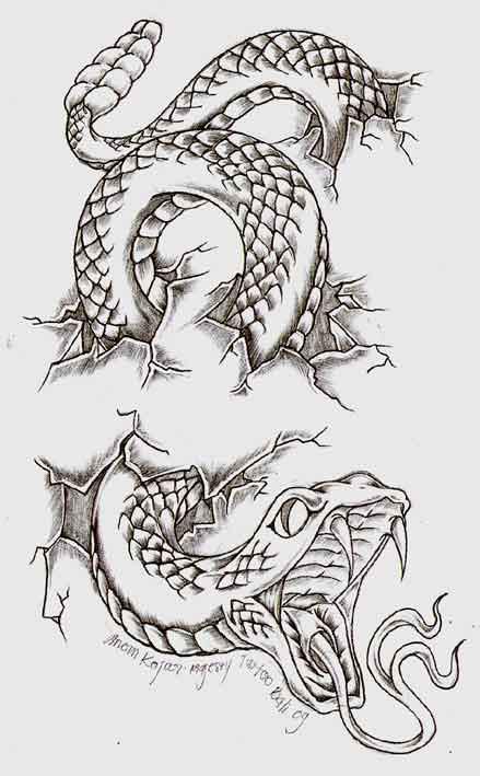 Cobra Tattoos 158