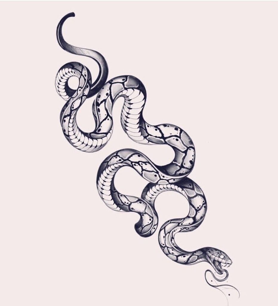 Cobra Tattoos 166