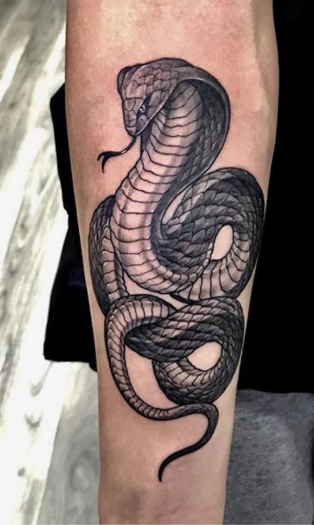 tatuajes de cobras 170