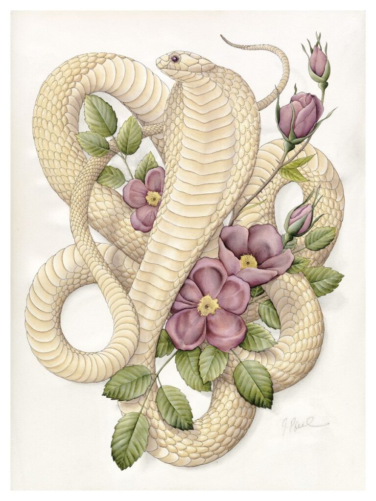 tatuajes de cobras 172