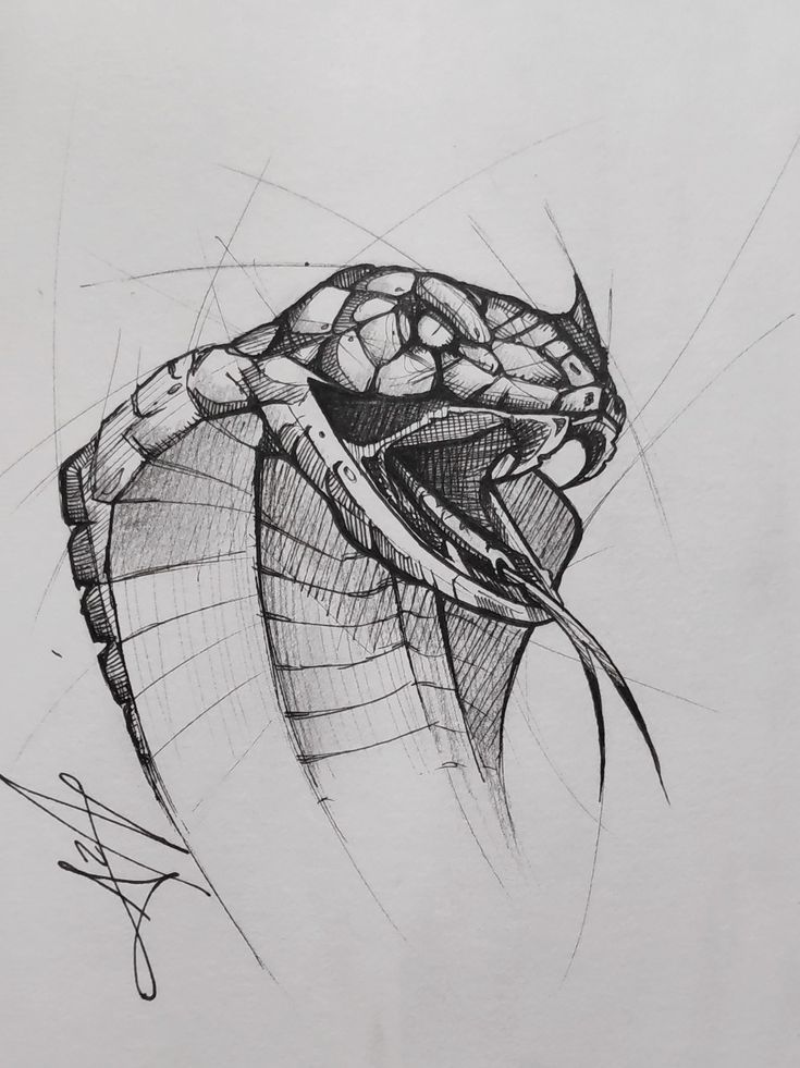 Cobra Tattoos 180
