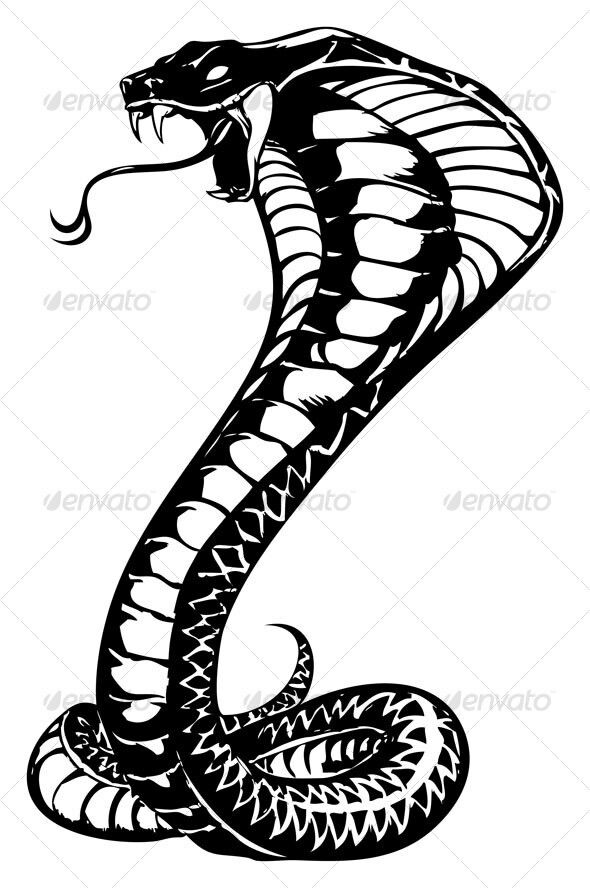 Cobra Tattoos 188