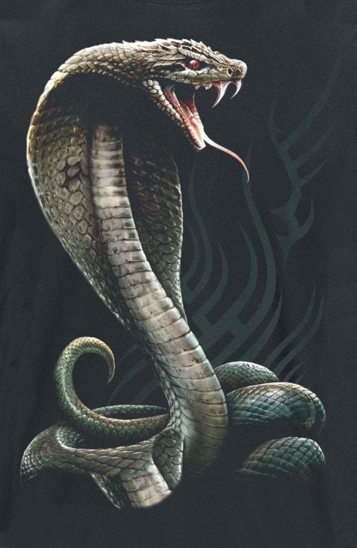 tatuajes de cobras 19