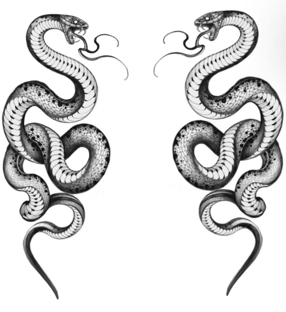 Cobra Tattoos 190