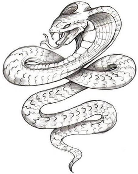 tatuajes de cobras 67